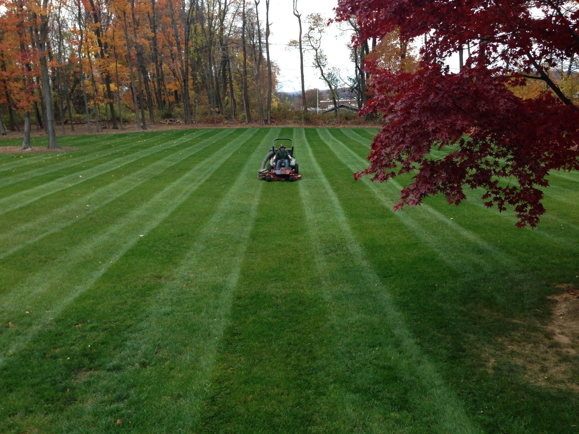 Landscape Designer in Morris Township