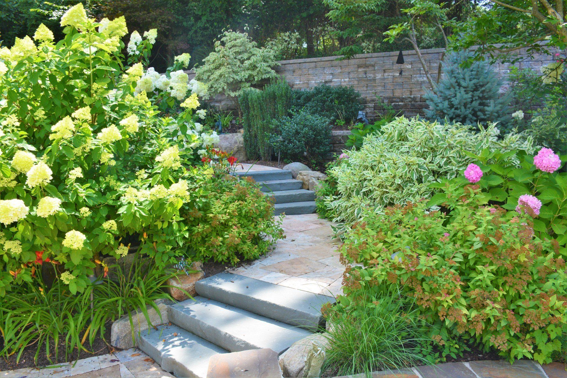 lawn maintenance