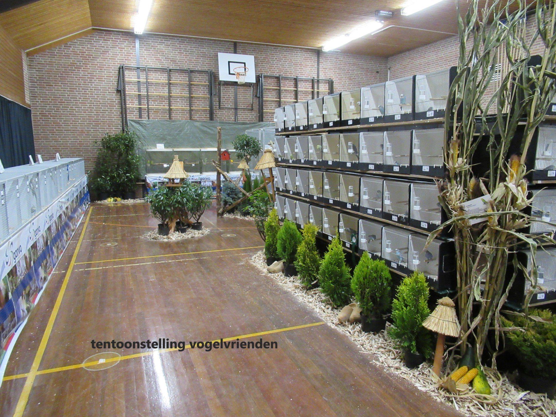 A bird show in a wood-floored hall. Rows of cages on shelves line the walls, and displays of plants add decoration.
