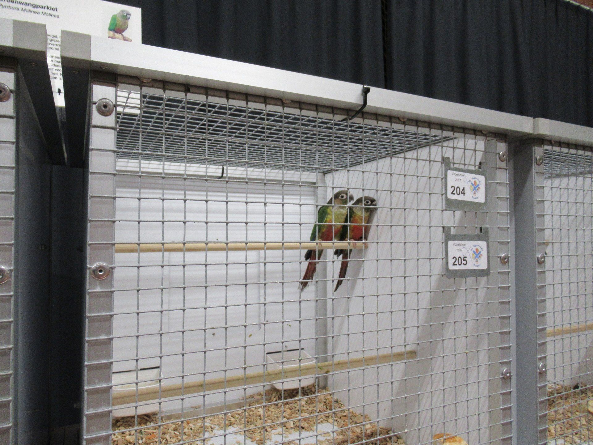 Two green-cheeked conures perched in a metal cage at a show; they have red and green feathers.