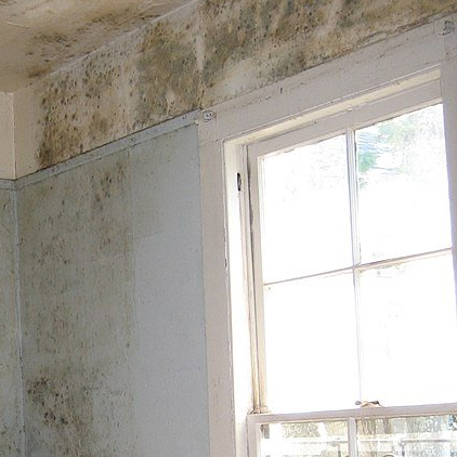 Condensation Damp In Barnsley Condensation Damp