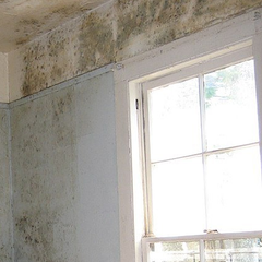 Condensation Damp Condensation Damp