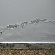 Rising Damp Rising Damp