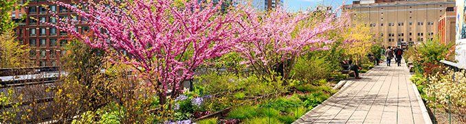 Highline, New York