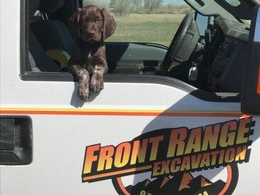 Dog in White Truck — Excavating Specialists in Laporte, CO