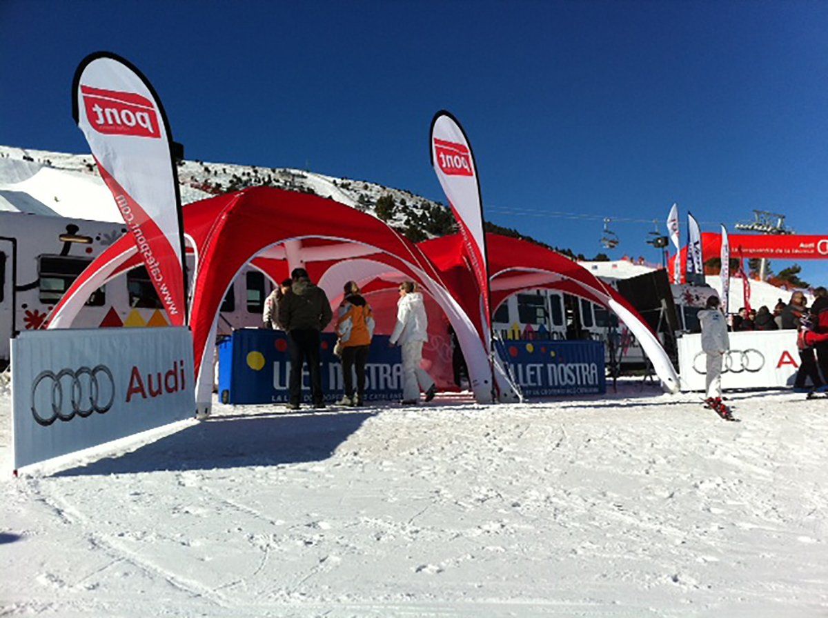 carpas nieve
