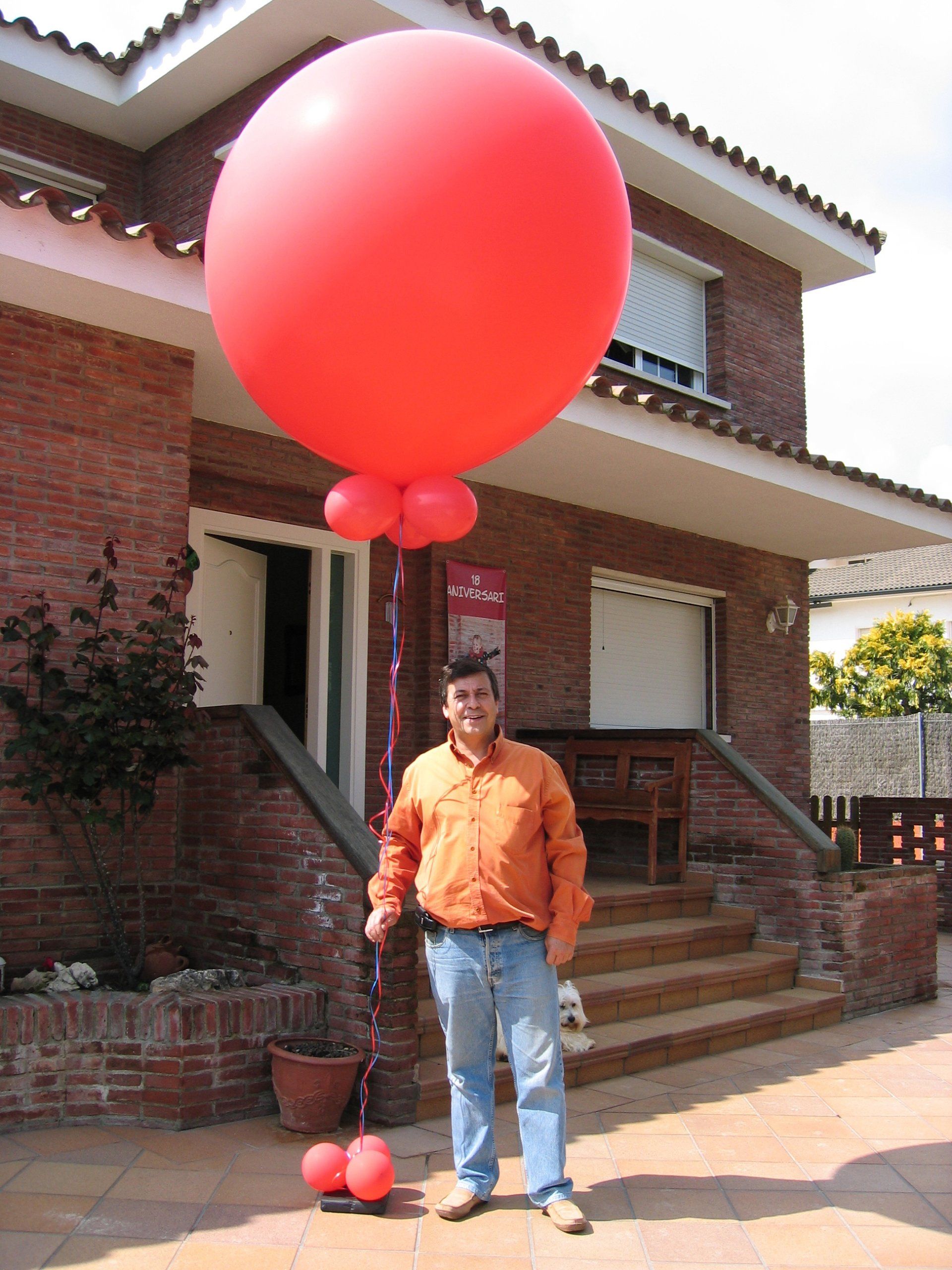 globos grandes