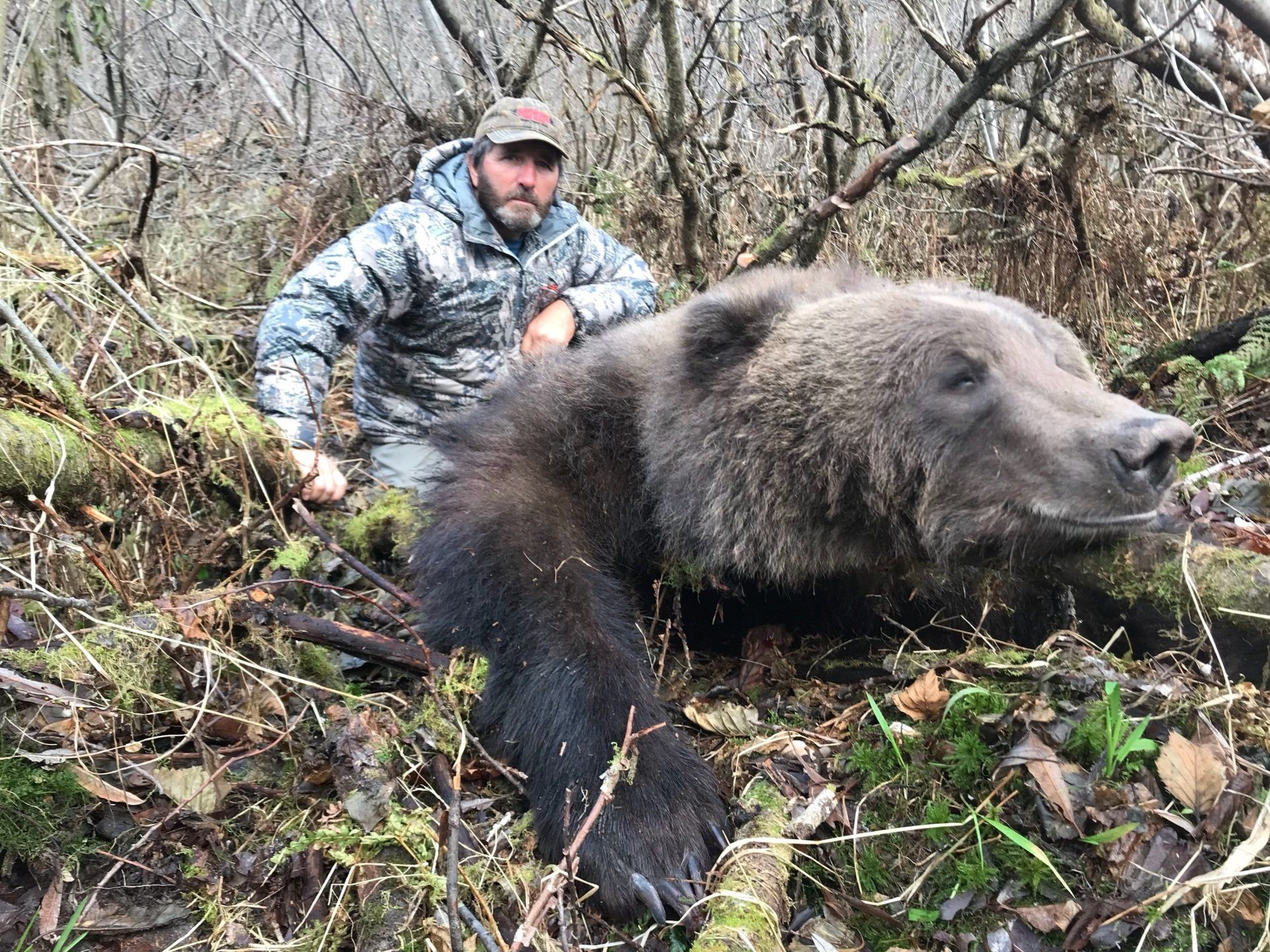 Alaska Brown Bear hunting, Alaska Grizzly bear hunting