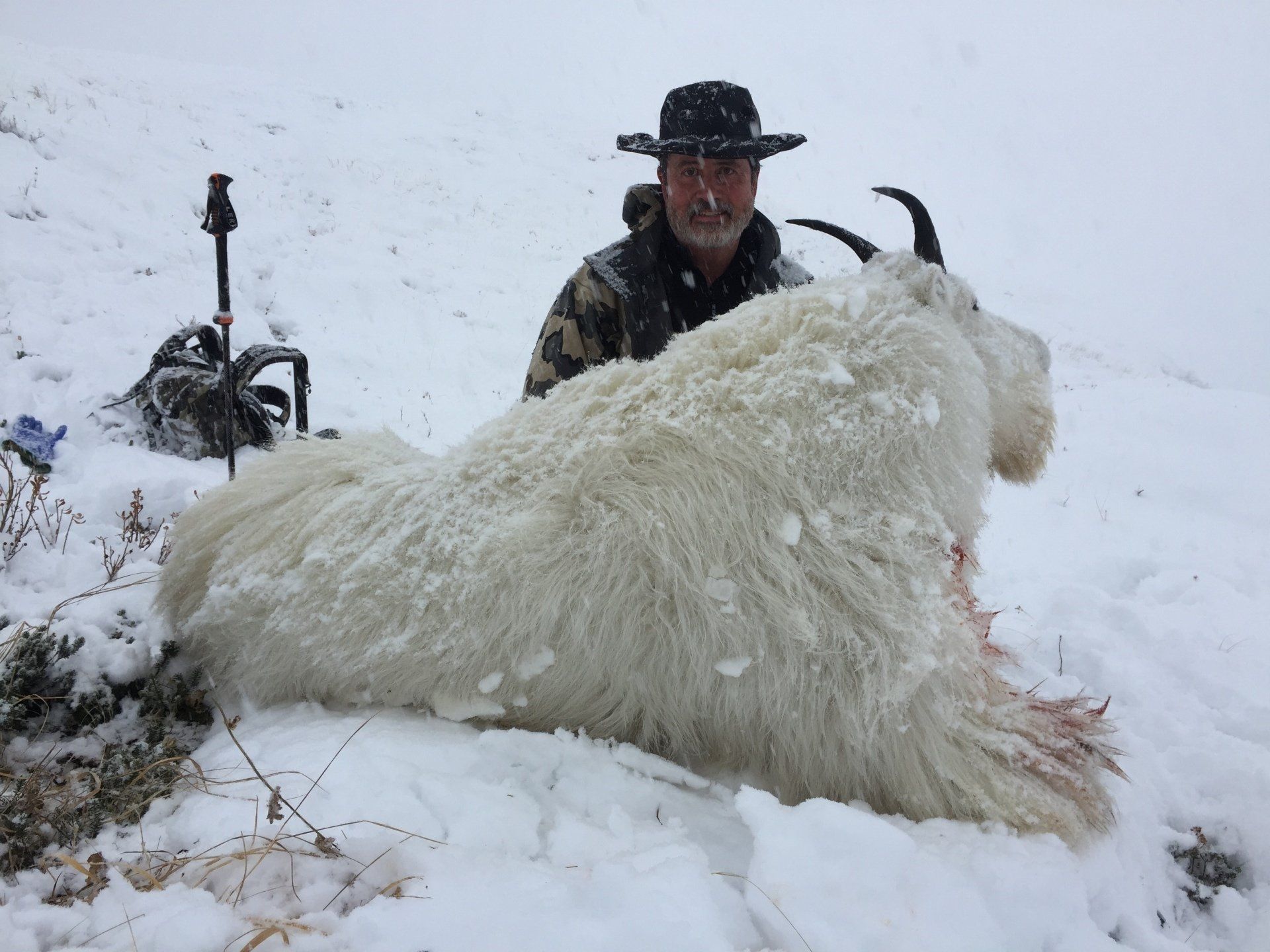Alaska mountain goat hunting