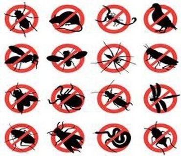 disinfestazione