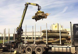 firewood being transported
