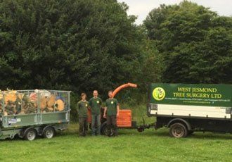 shrub clearance