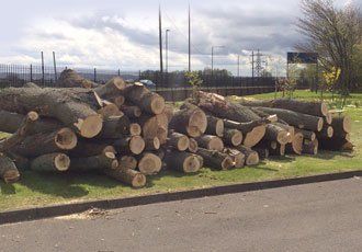 wooden logs