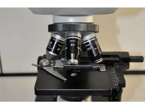 Microscopio