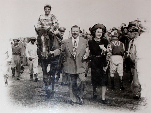 Crowd and horse