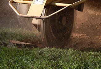 Stump Grinding — Tree Service in Salem, OR Stump Grinding — Tree Service in Salem, OR