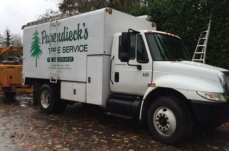 Woodburn — Papendieck's Tree Service Truck in Salem, OR Woodburn — Papendieck's Tree Service Truck in Salem, OR