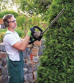 Tree Trimming — Pruning in Salem, OR Tree Trimming — Pruning in Salem, OR