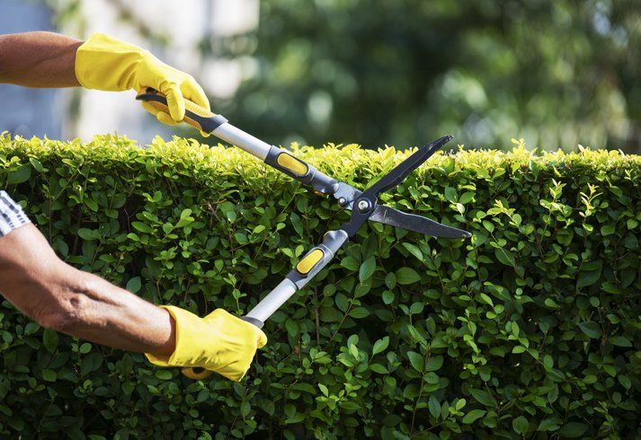 Articoli per ril giardinaggio