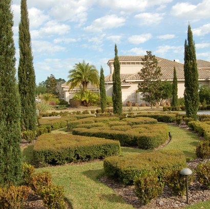 A lush green garden with a house in the background