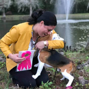 A woman in a yellow jacket is kneeling down next to a beagle