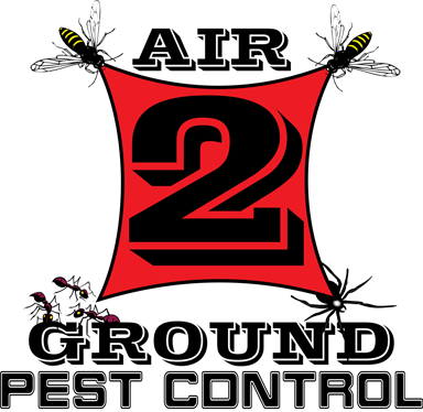 air 2 ground pest control with ants and wasps