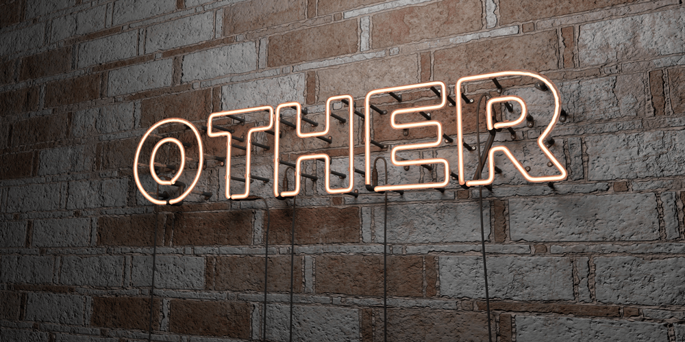 a neon sign that says other on a brick wall .