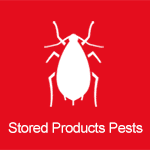 pests