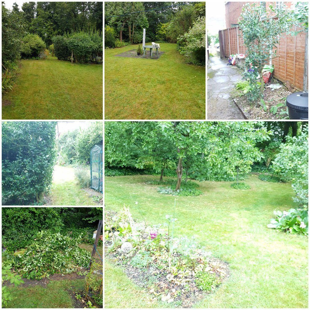 Garden Clean Ups