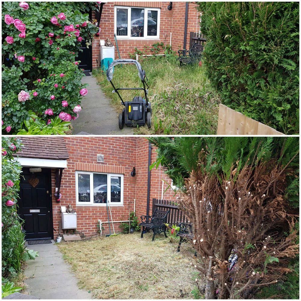 Garden Clean Ups