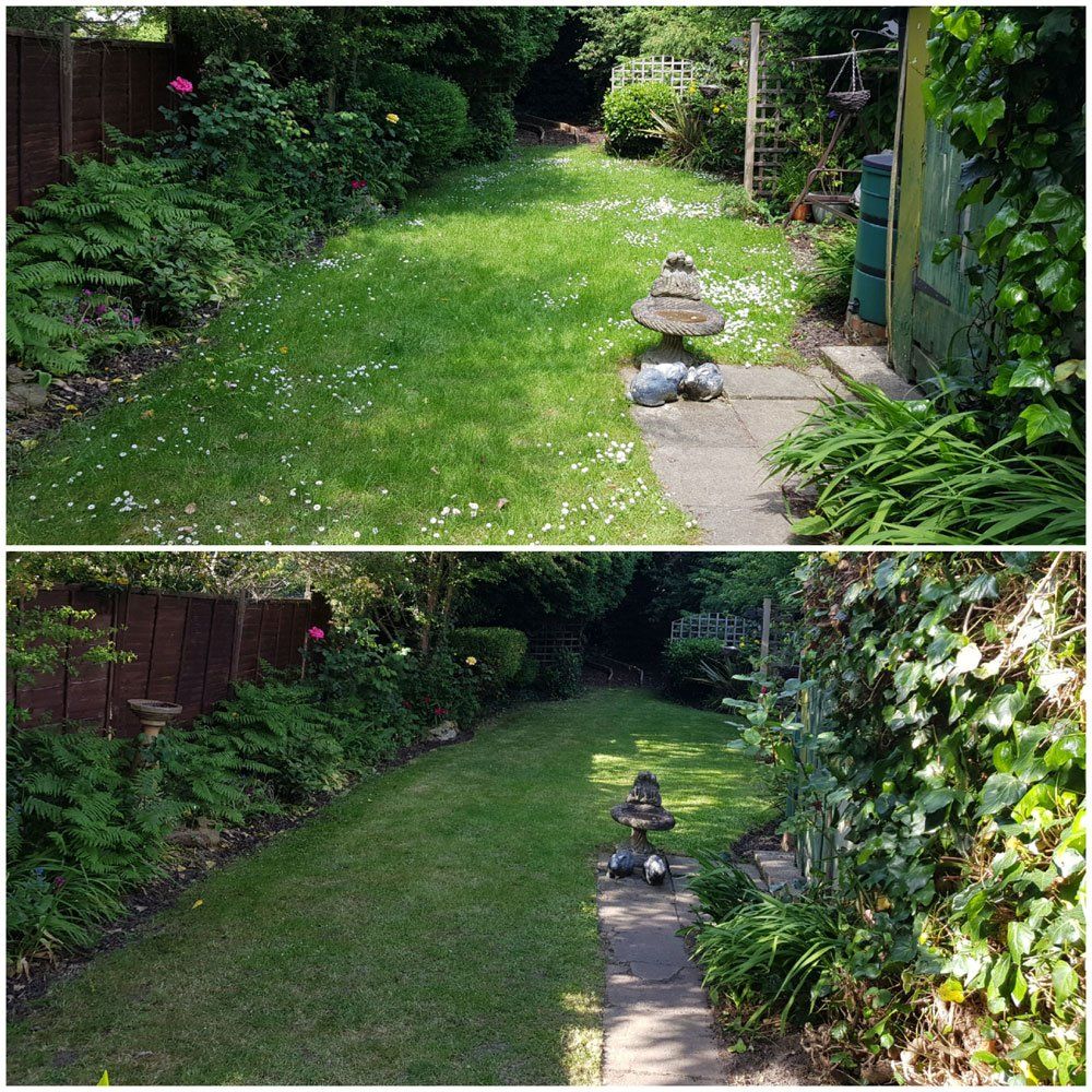 Garden Clean Ups