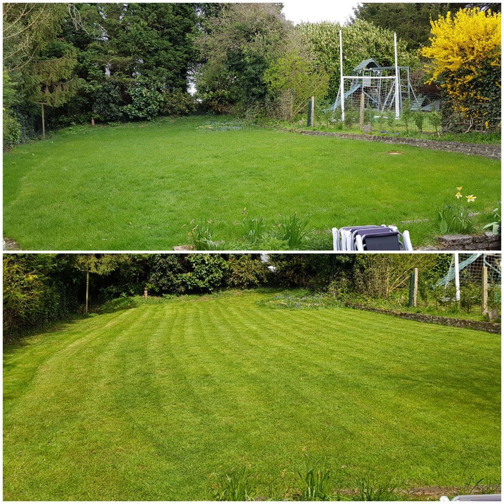 Turfing Croydon