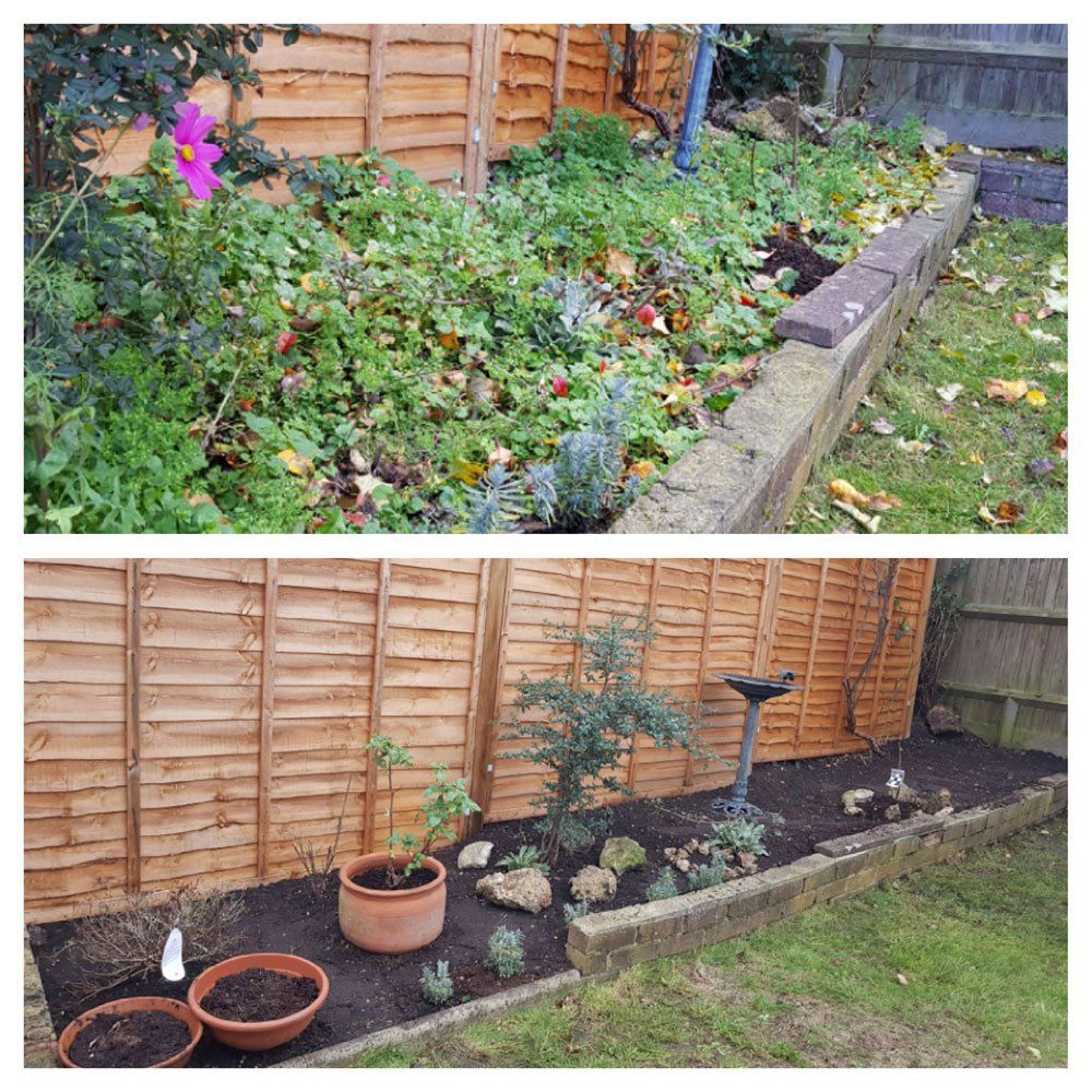 Garden Clean Ups