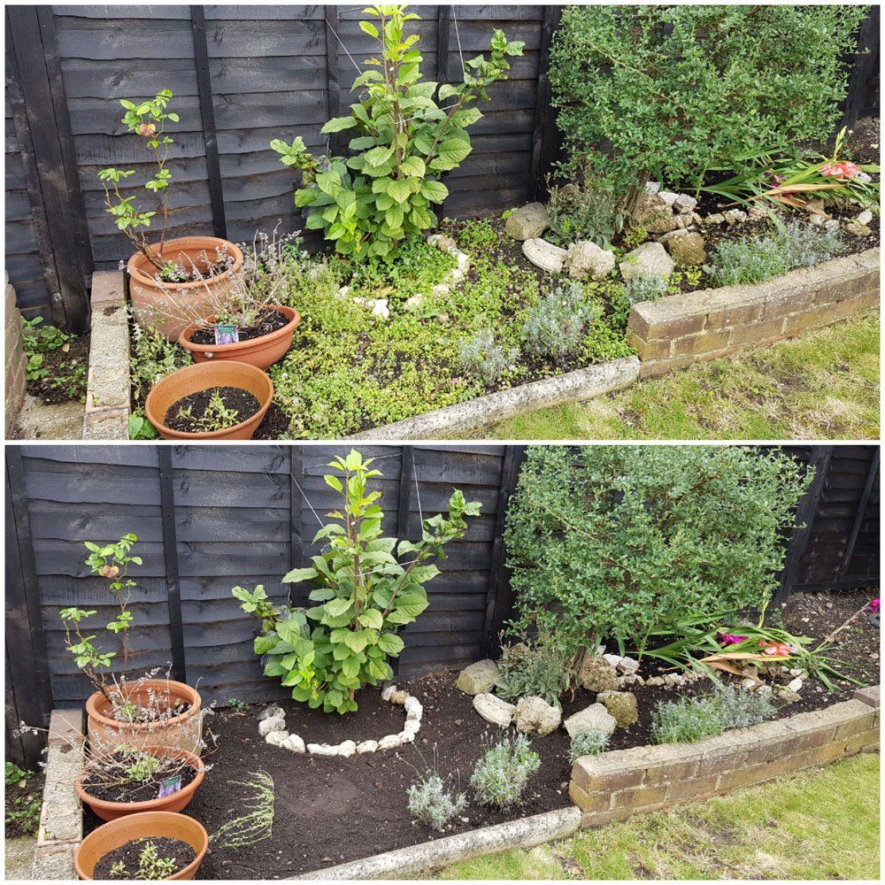 Garden Clean Ups
