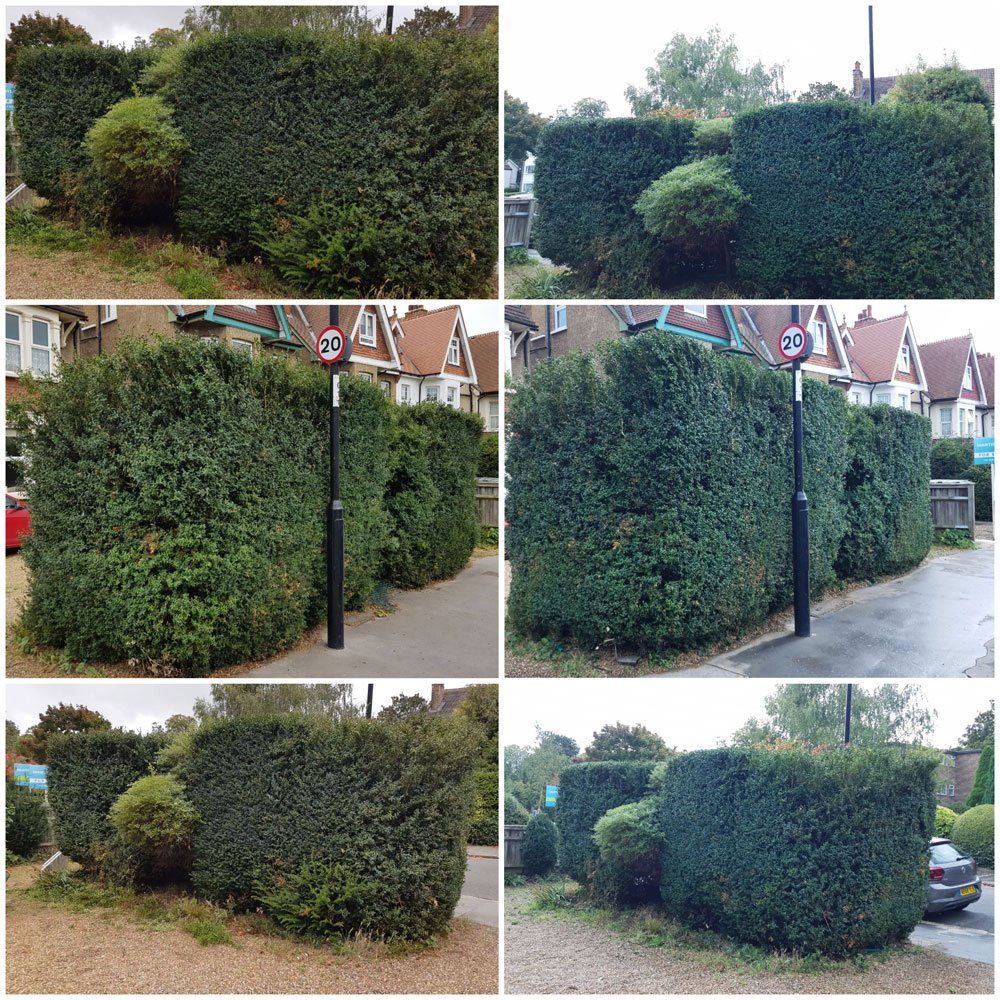 Garden Clean Ups