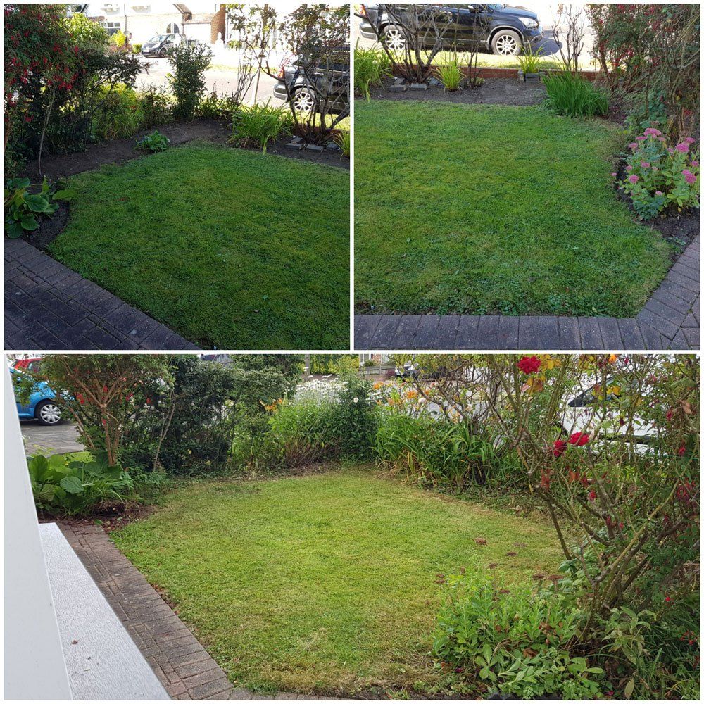 Garden Clean Ups