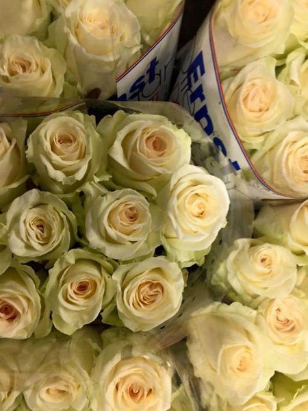 Mazzo di rose