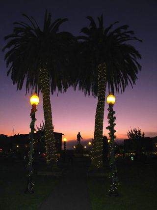Arcata Holiday Twilight