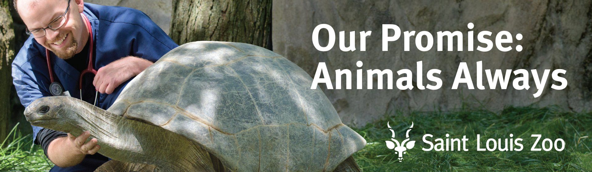 A man is kneeling down next to a large turtle.