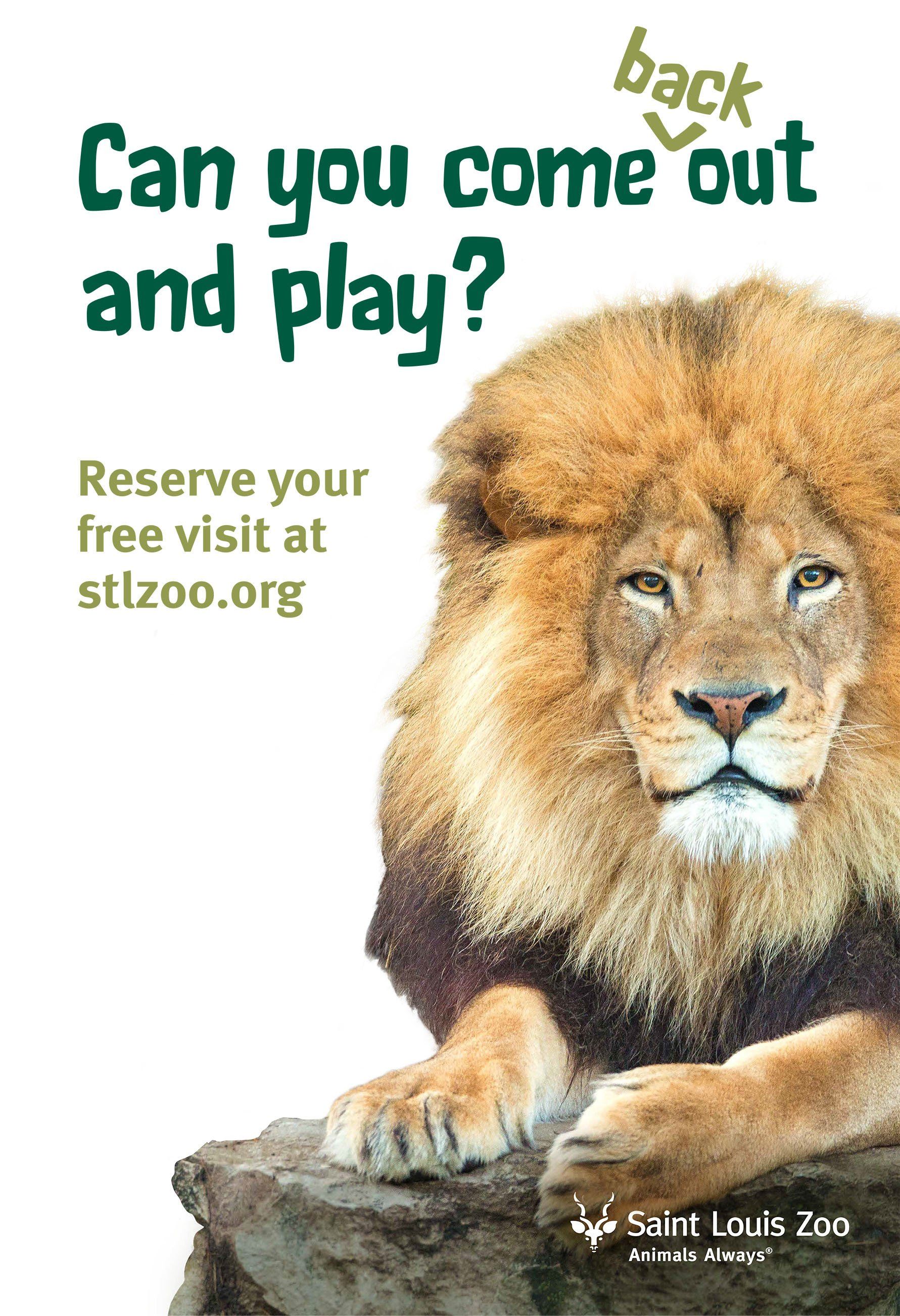 A lion is laying on a rock with the words `` can you come out and play ? ''