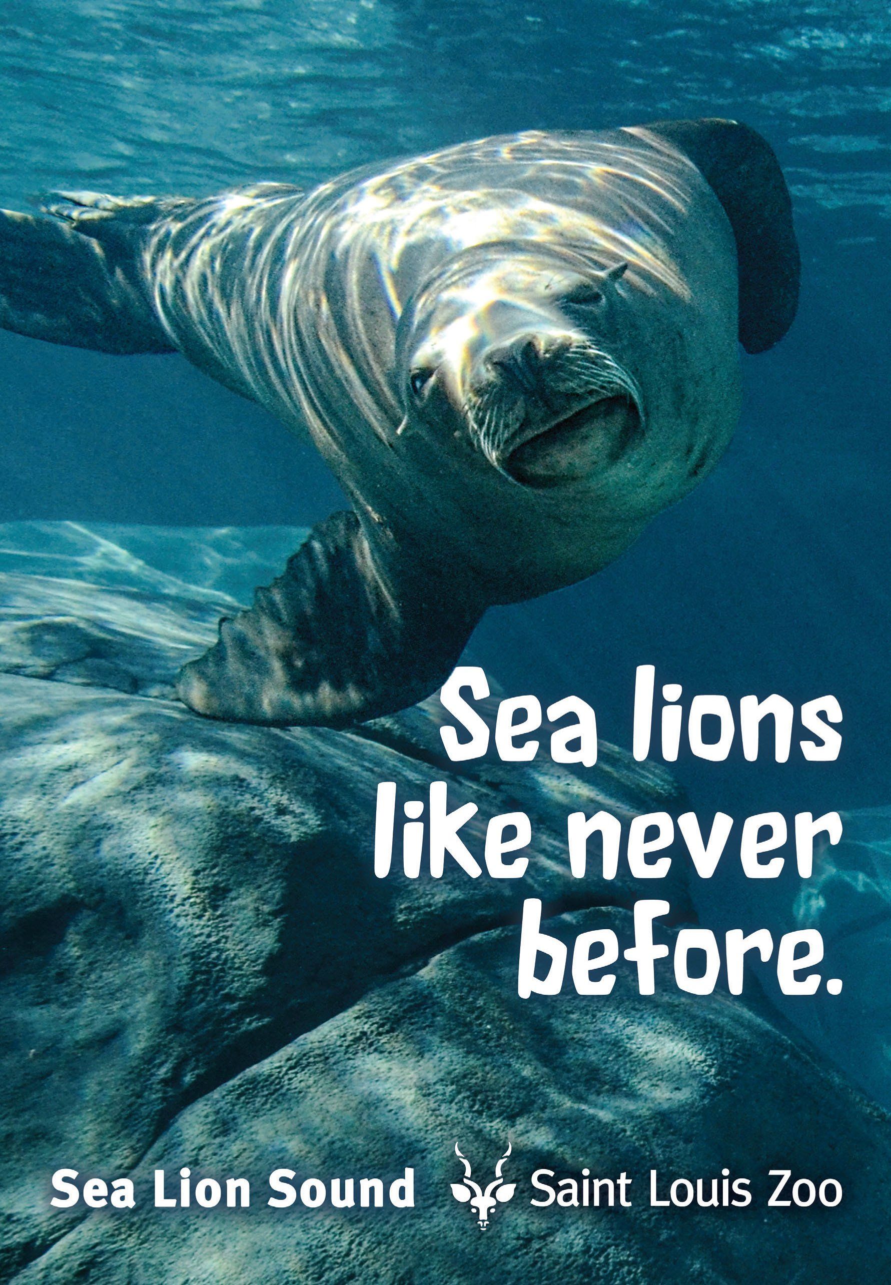 An advertisement for sea lions that says sea lions like never before