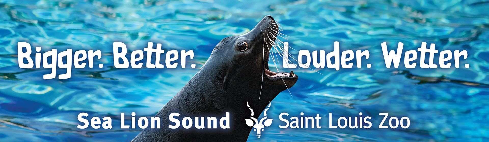 A seal in the water with the words bigger better louder wetter