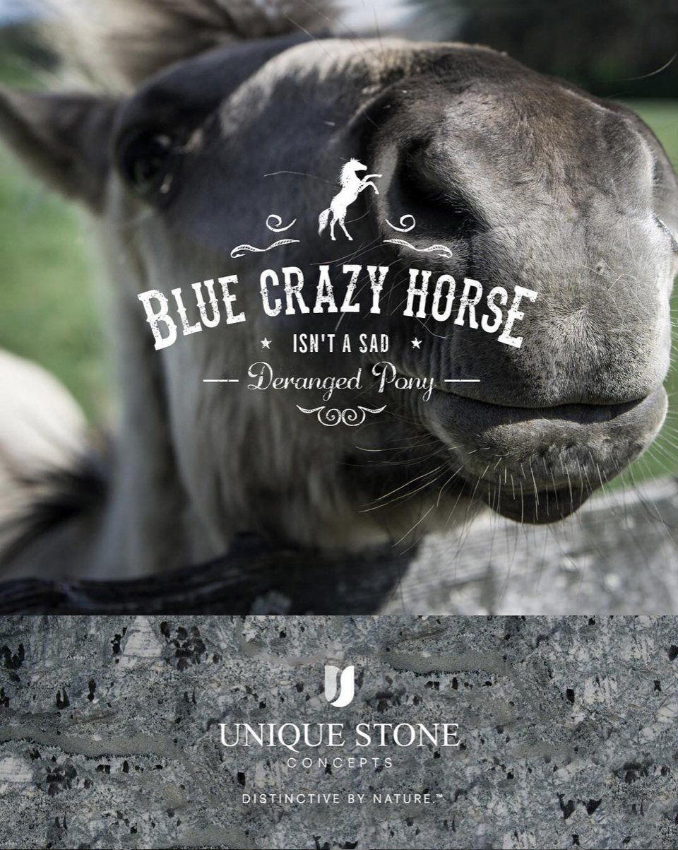 A close up of a horse 's face with the words blue crazy horse on it