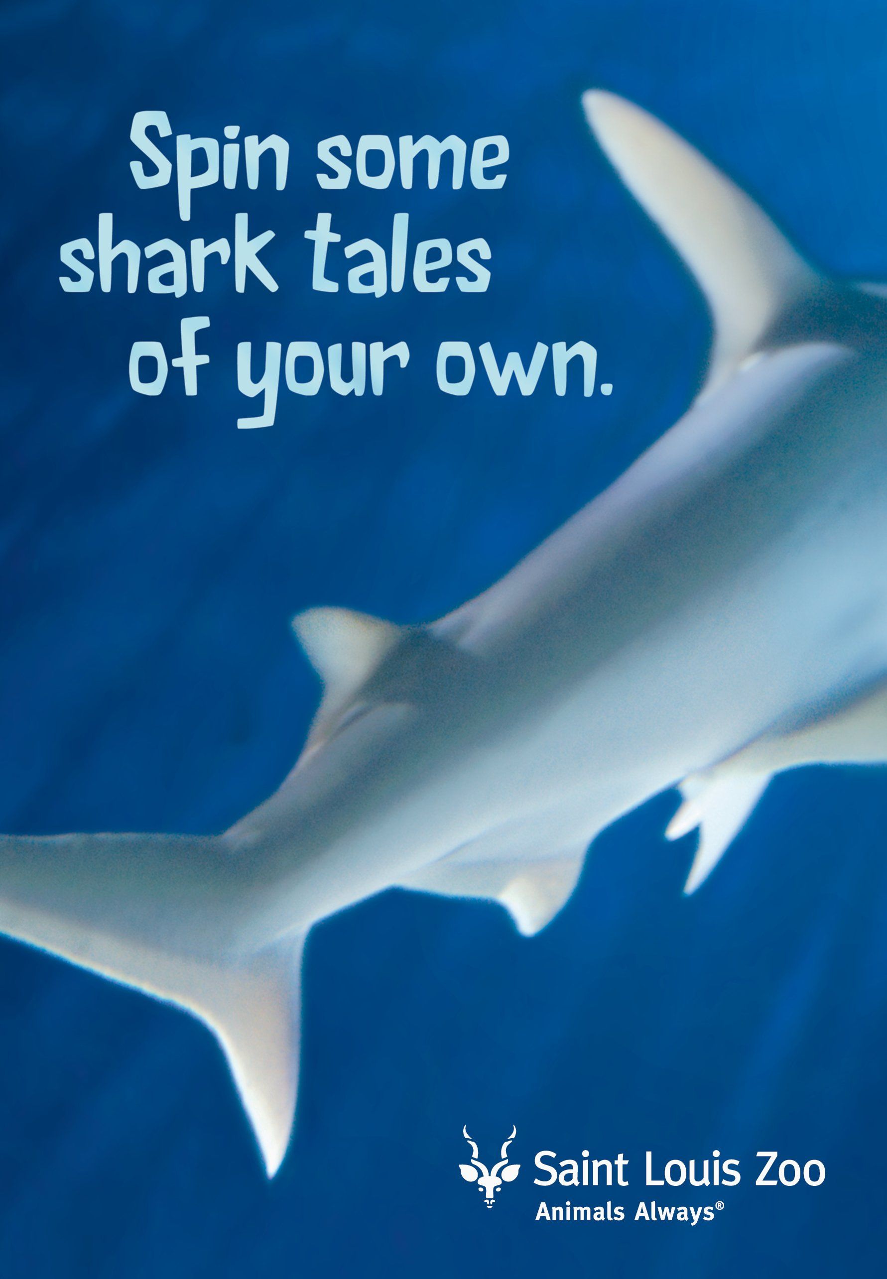 A poster for saint louis zoo shows a shark and says spin some shark tales of your own