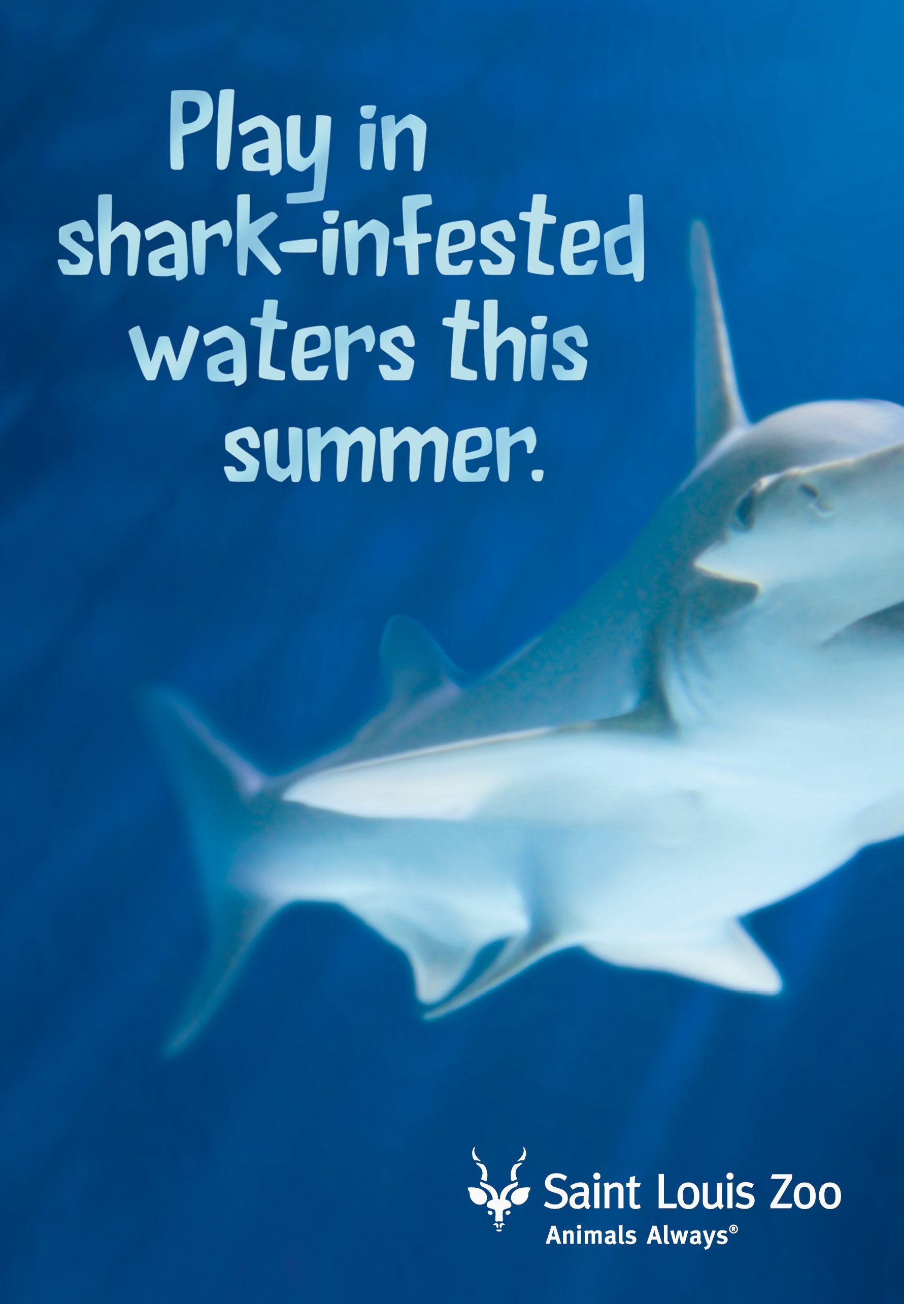 A poster that says play in shark-infested waters this summer