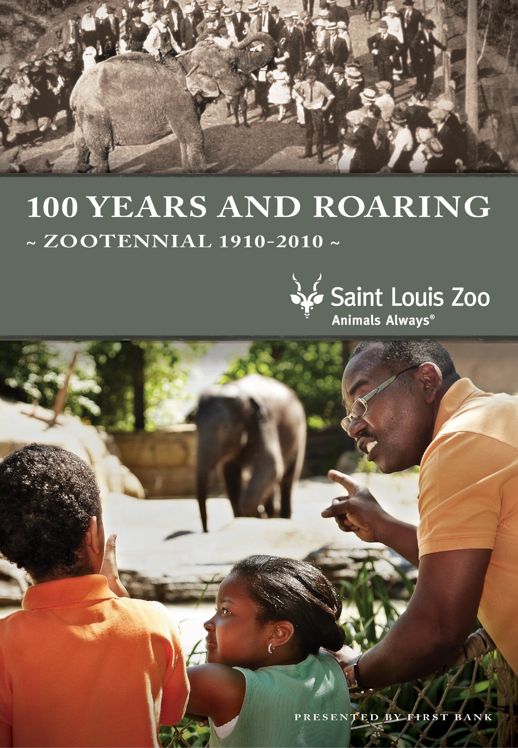 A man and two children are looking at elephants at a zoo.