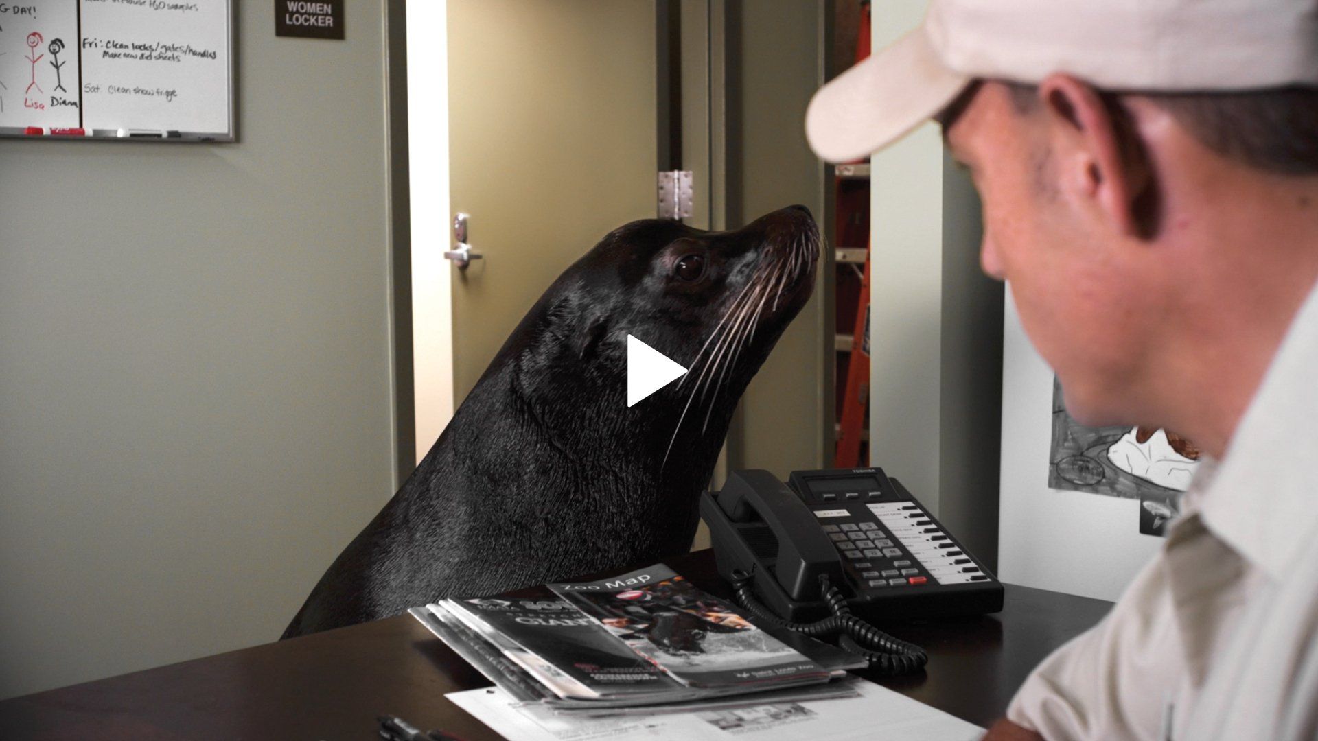 A man sitting at a desk with a dog licking his face