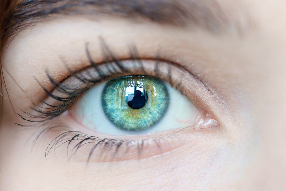 Wimpern