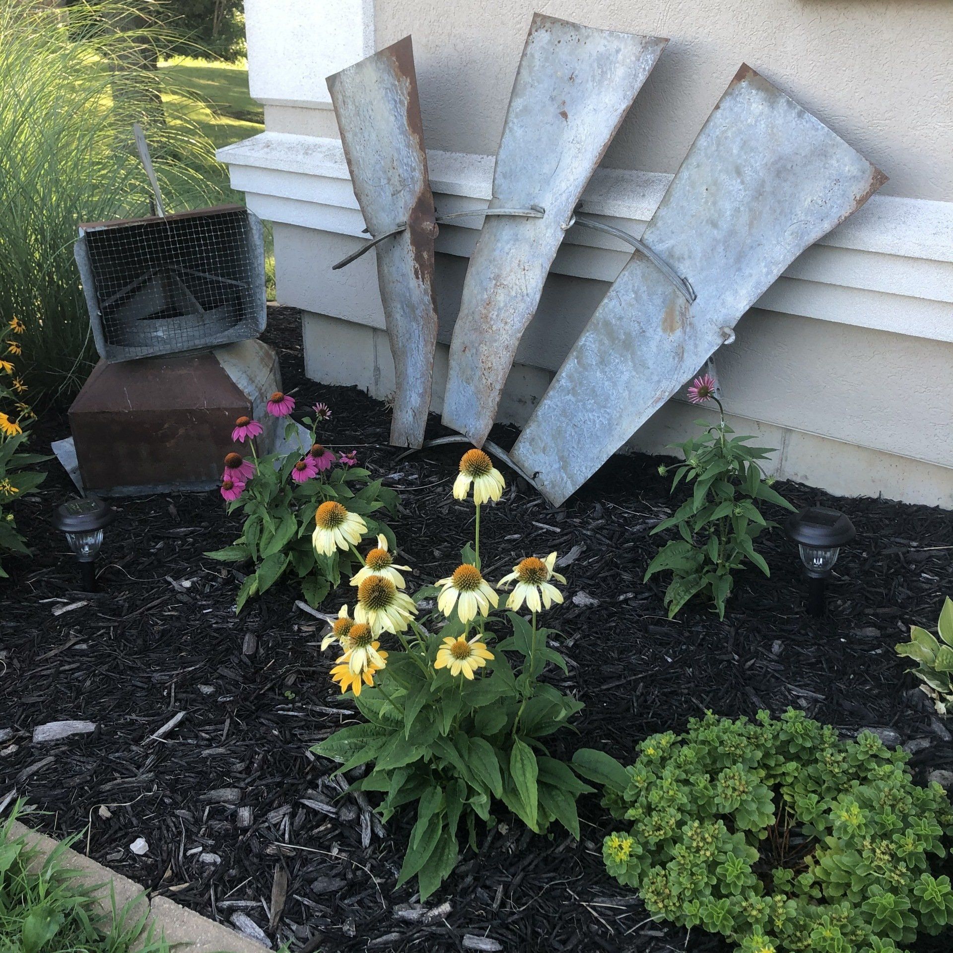 Purple & yellow coneflowers with barn vent and blades from an old windmill fan.