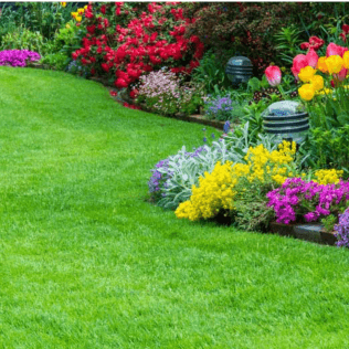 Landscapers Temple Texas